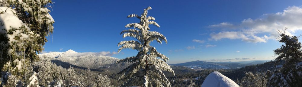 Pine Cove Property Owners Association